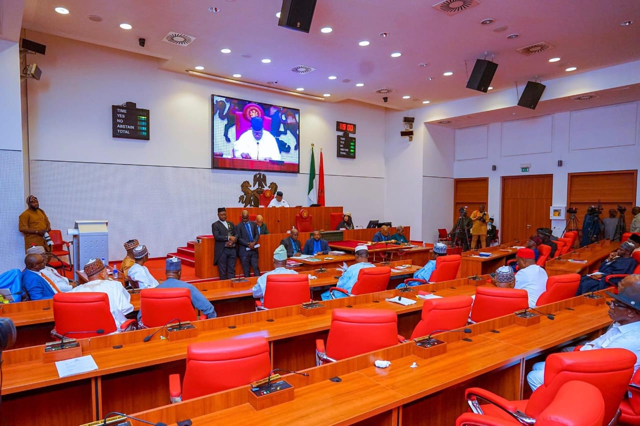 Senate Urges Government to Maintain Electricity Subsidy Amid Economic Hardship