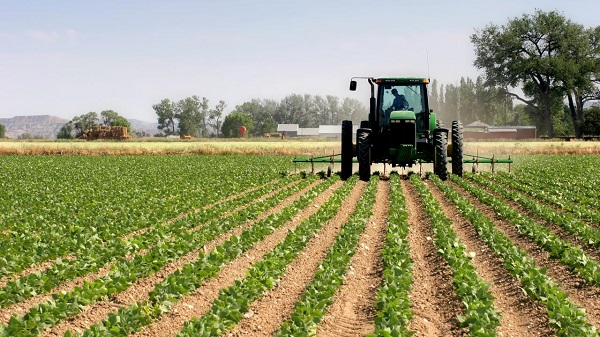 Revolutionizing Agriculture: Ogun State Commissioner Advocates Digital Farming