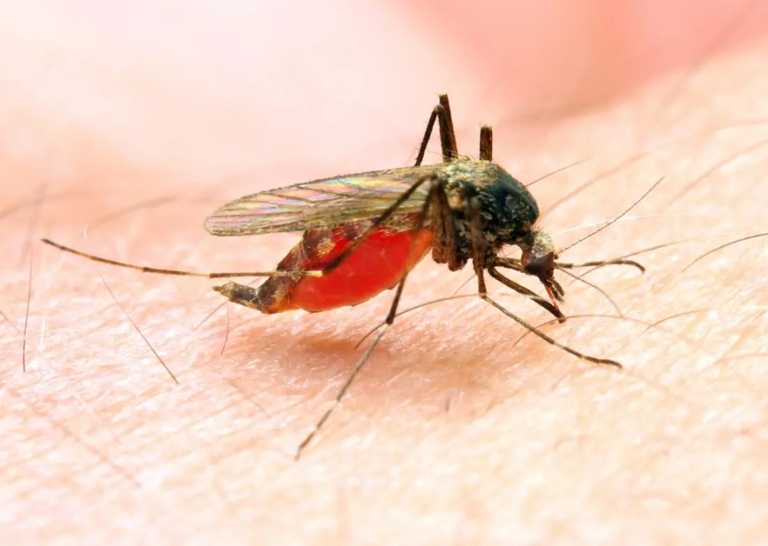 Health Ministers Pledge Strong Action and Increased Funding in fight to eradicate Malaria