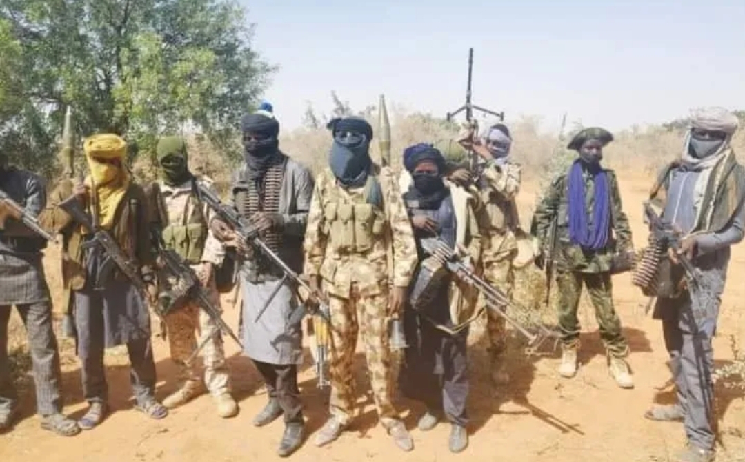 Deadly Clash Between Bandit Groups Leaves Several Terrorists Dead in Kaduna