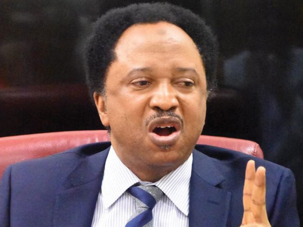 Former Senator Shehu Sani Laments Unheeded Warnings as Kaduna State Grapples with Debt Crisis