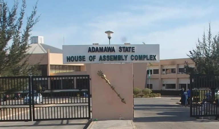 Adamawa State WASH Sector Suffers from Insufficient Funding