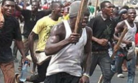 Police Report Injuries in Clash Between Farmers and Cattle Herders in Jigawa