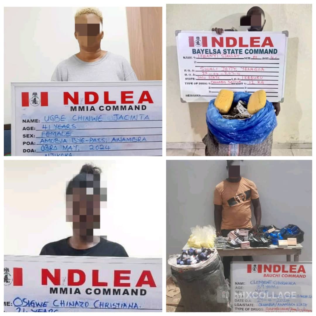 NDLEA Dismantles Drug Syndicate Operating Across Nigeria, South Africa, and Thailand