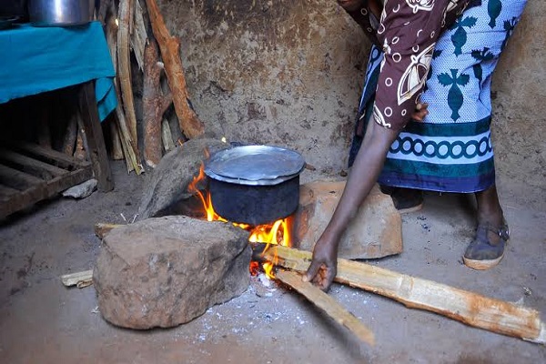 Study Shows High Dependence on Fuelwood for Cooking in Kaduna, Nasarawa, and FCT