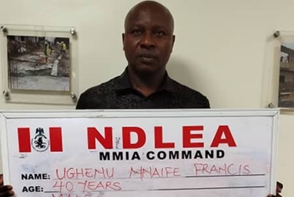 Port Harcourt and Lagos Burst: NDLEA Intercepts Drugs Worth Over N2 Billion in Major Operations