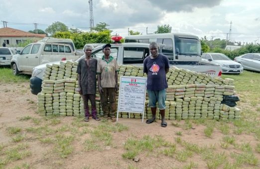 NDLEA Seizes Illicit Shipments Concealed in Various Items at Lagos Airport