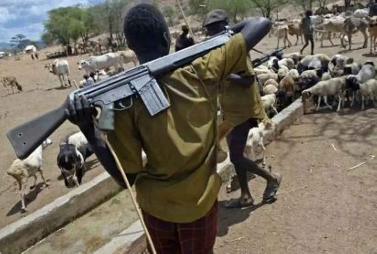 Gunmen Attack Farmers in Plateau State, Injuring Four