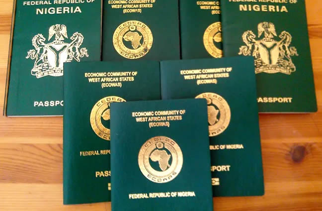 Nigerians Face Frustration Over Technical Glitches in NIS Online Passport Payment Portal