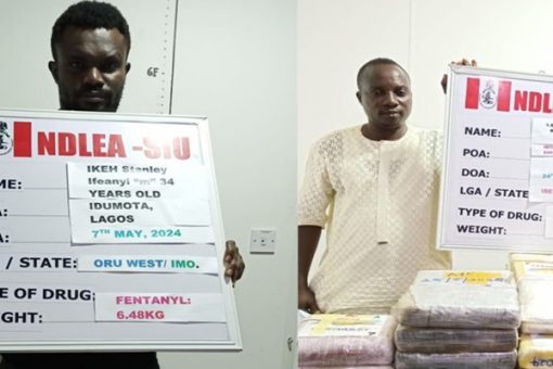 NDLEA Convicts 19 Drug Traffickers, Sentencing Them to a Combined 302 Years in Prison