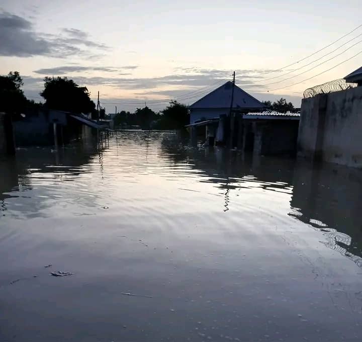 Shehu of Borno’s Palace and Parts of Maiduguri Submerged by Flood, Residents in Disarray