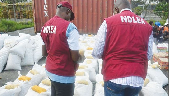 NDLEA Seizes Over 5 Million Kilograms of Drugs, Arrests 284 in Kogi State