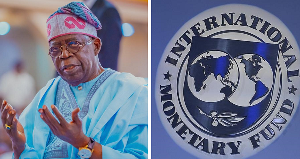 IMF